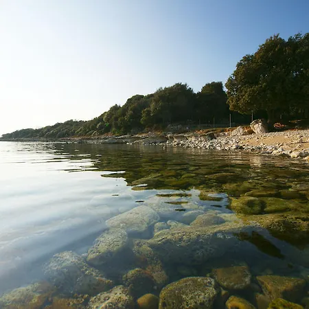 Robert I Mirna Бале