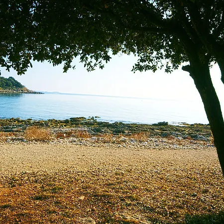 Гостевой дом Robert I Mirna Бале